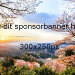 Sponsorbanner300x250-3